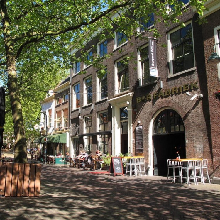 Mortgage advice Delft - Viisi Expats