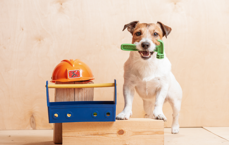 Renovating: using a construction deposit or your own capital?